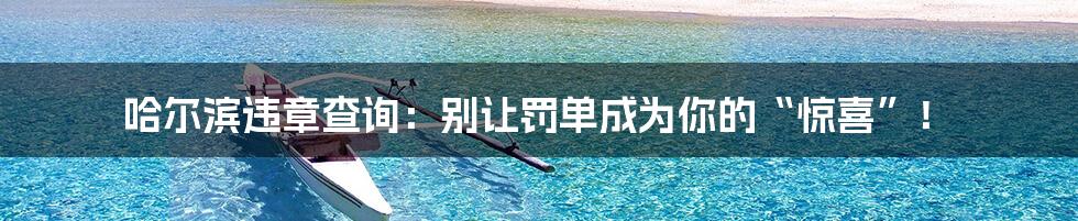 哈尔滨违章查询:别让罚单成为你的“惊喜”!