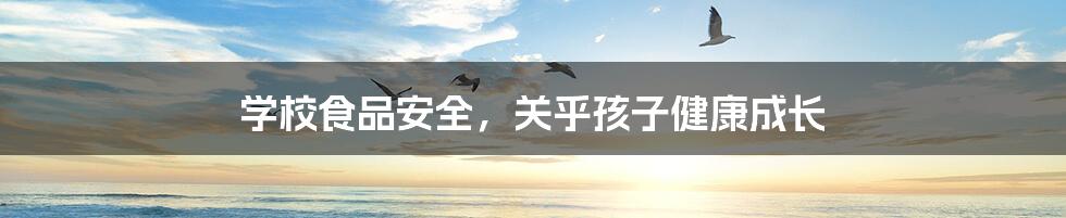 学校食品安全,关乎孩子健康成长