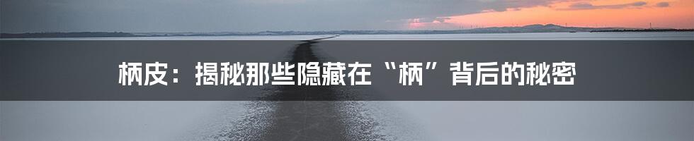 柄皮:揭秘那些隐藏在“柄”背后的秘密