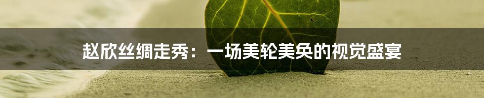 赵欣丝绸走秀：一场美轮美奂的视觉盛宴