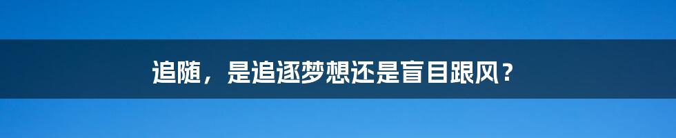 追随，是追逐梦想还是盲目跟风？