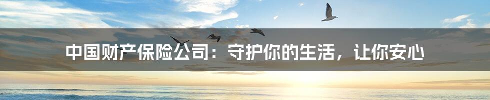 中国财产保险公司:守护你的生活,让你安心