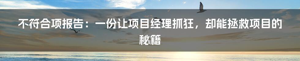 不符合项报告:一份让项目经理抓狂,却能拯救项目的秘籍