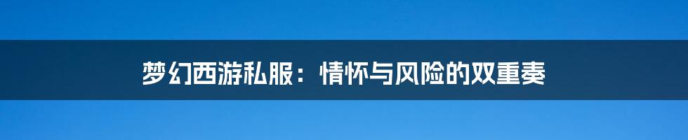 梦幻西游私服:情怀与风险的双重奏