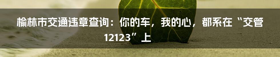 榆林市交通违章查询:你的车,我的心,都系在“交管12123”上