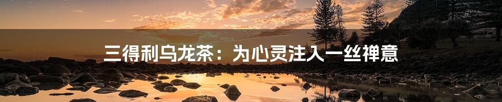 三得利乌龙茶:为心灵注入一丝禅意