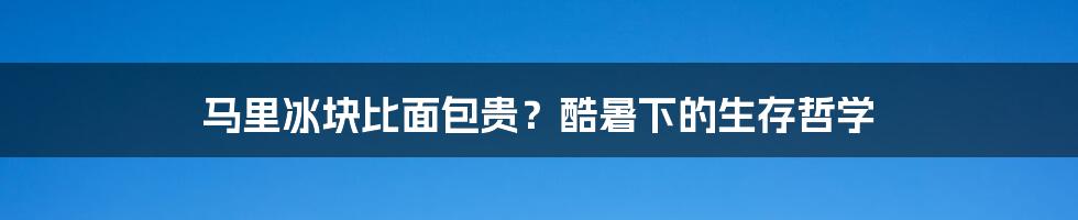 马里冰块比面包贵?酷暑下的生存哲学
