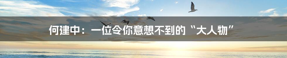 何建中:一位令你意想不到的“大人物”