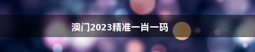 澳门2023精准一肖一码