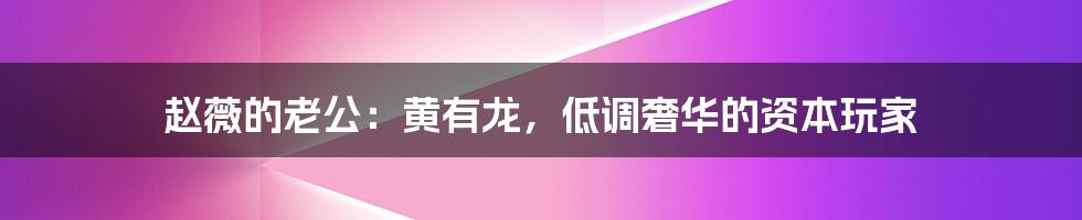 赵薇的老公:黄有龙,低调奢华的资本玩家