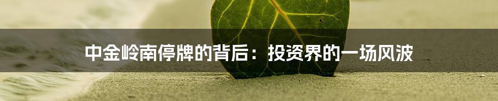 中金岭南停牌的背后:投资界的一场风波