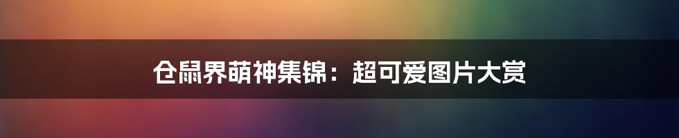 仓鼠界萌神集锦:超可爱图片大赏