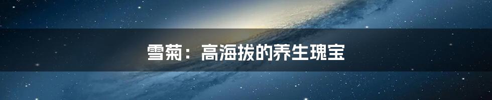 雪菊:高海拔的养生瑰宝