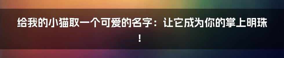 给我的小猫取一个可爱的名字:让它成为你的掌上明珠!