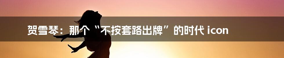 贺雪琴:那个“不按套路出牌”的时代 icon
