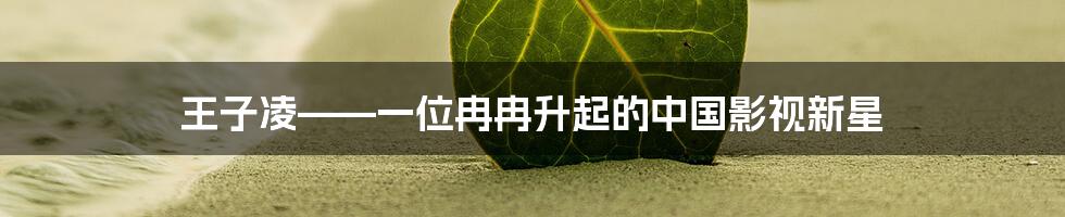 王子凌——一位冉冉升起的中国影视新星