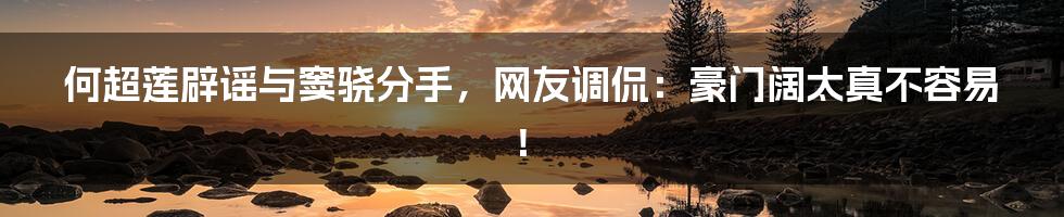 何超莲辟谣与窦骁分手,网友调侃:豪门阔太真不容易!