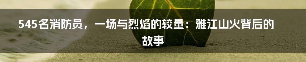 545名消防员，一场与烈焰的较量：雅江山火背后的故事