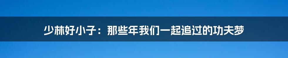 少林好小子:那些年我们一起追过的功夫梦