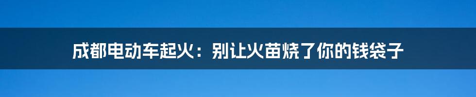 成都电动车起火:别让火苗烧了你的钱袋子