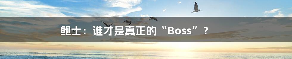 鲍士:谁才是真正的“Boss”?