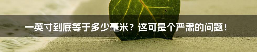 一英寸到底等于多少毫米?这可是个严肃的问题!