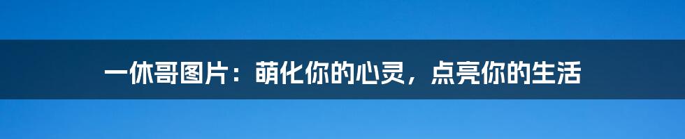 一休哥图片:萌化你的心灵,点亮你的生活