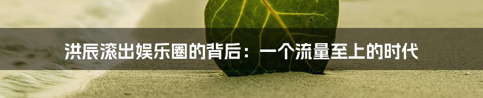 洪辰滚出娱乐圈的背后:一个流量至上的时代