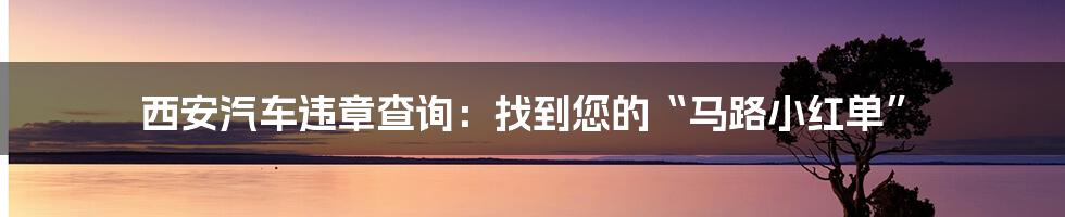 西安汽车违章查询:找到您的“马路小红单”