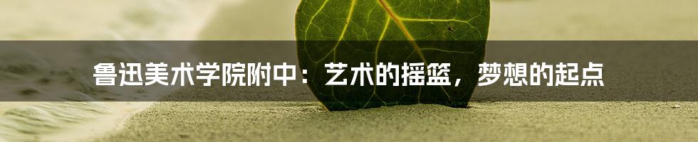 鲁迅美术学院附中:艺术的摇篮,梦想的起点