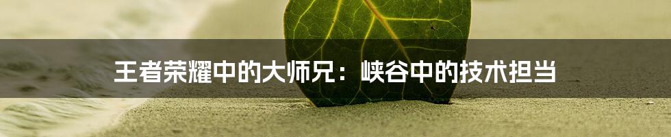 王者荣耀中的大师兄:峡谷中的技术担当
