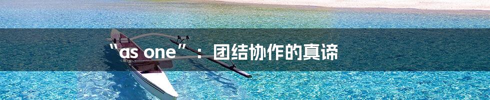 “as one”：团结协作的真谛