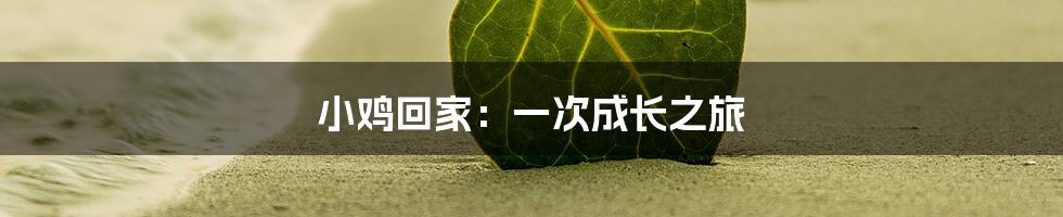 小鸡回家:一次成长之旅