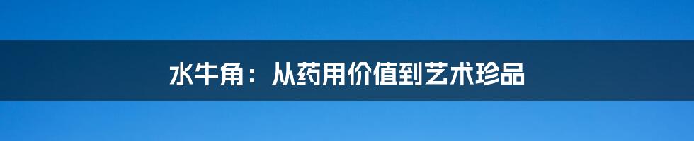 水牛角:从药用价值到艺术珍品