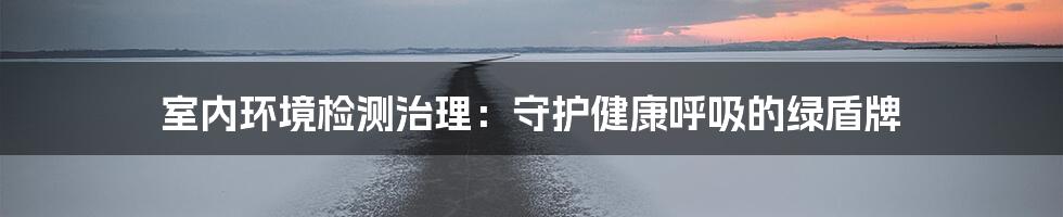 室内环境检测治理:守护健康呼吸的绿盾牌