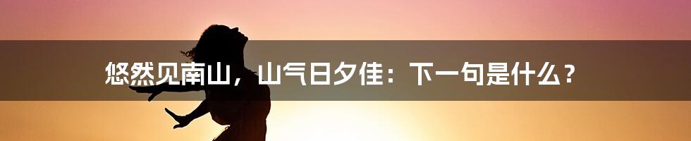 悠然见南山,山气日夕佳:下一句是什么?