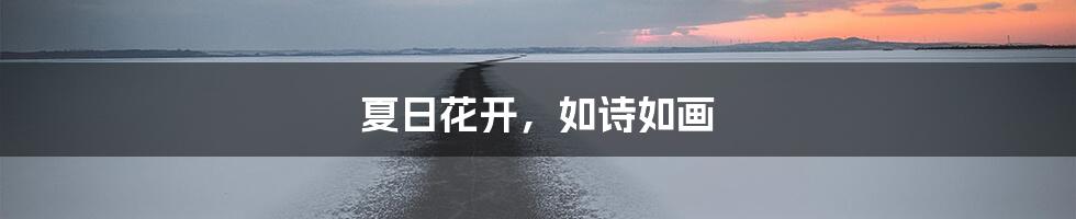 夏日花开，如诗如画