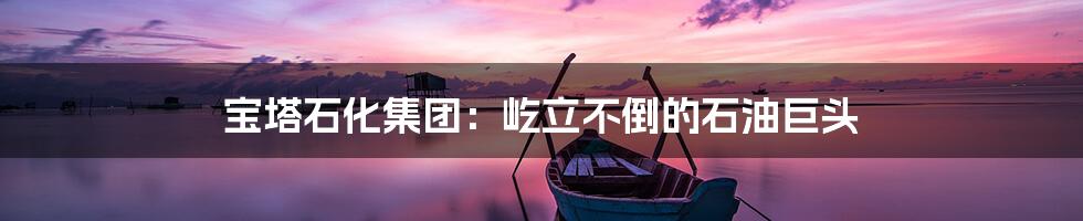 宝塔石化集团:屹立不倒的石油巨头