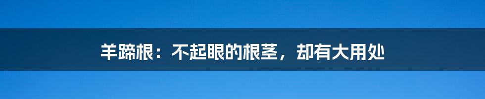 羊蹄根:不起眼的根茎,却有大用处