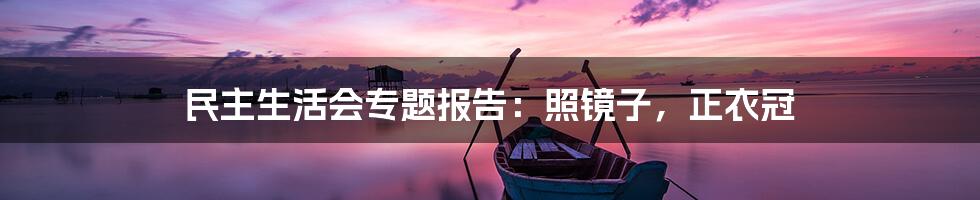 民主生活会专题报告：照镜子，正衣冠