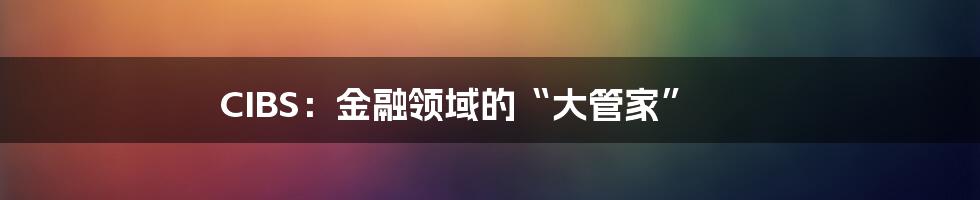 CIBS:金融领域的“大管家”