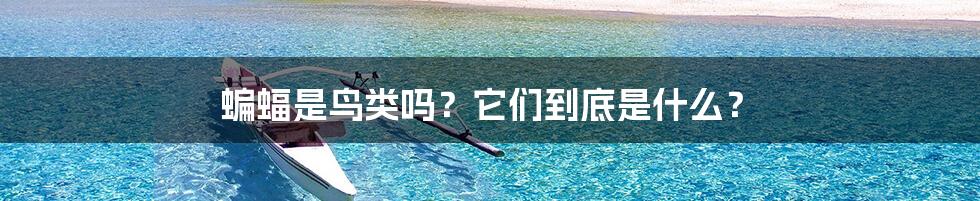 蝙蝠是鸟类吗?它们到底是什么?