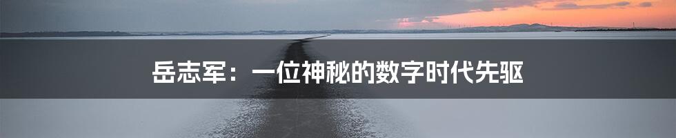 岳志军:一位神秘的数字时代先驱
