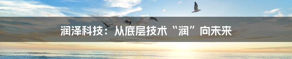 润泽科技:从底层技术“润”向未来