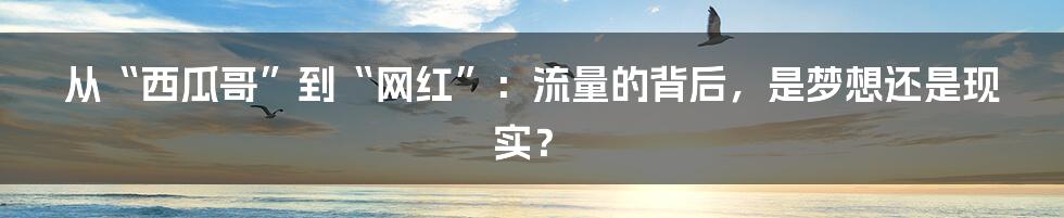 从“西瓜哥”到“网红”:流量的背后,是梦想还是现实?
