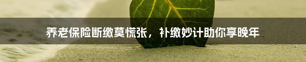 养老保险断缴莫慌张,补缴妙计助你享晚年