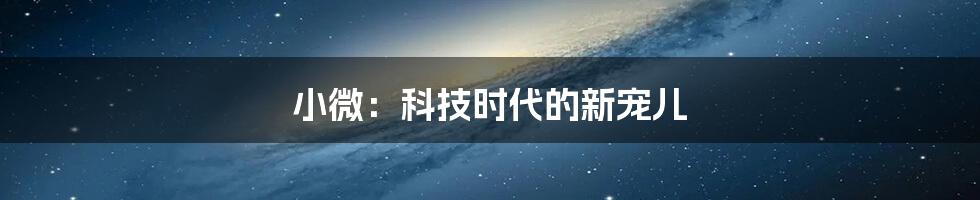 小微:科技时代的新宠儿