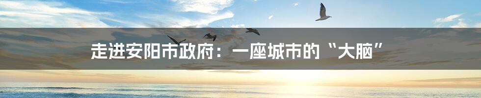 走进安阳市政府:一座城市的“大脑”