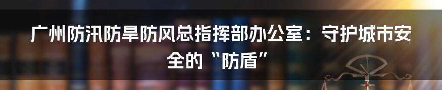 广州防汛防旱防风总指挥部办公室:守护城市安全的“防盾”