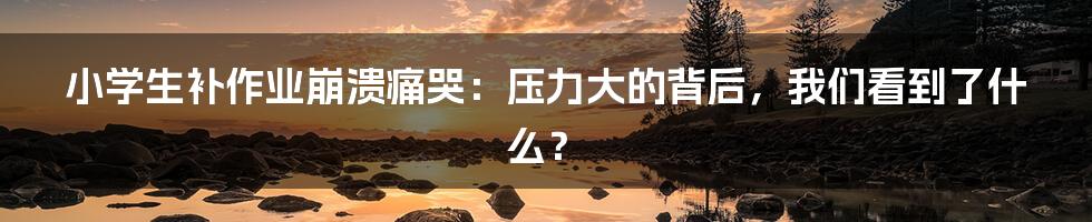 小学生补作业崩溃痛哭:压力大的背后,我们看到了什么?